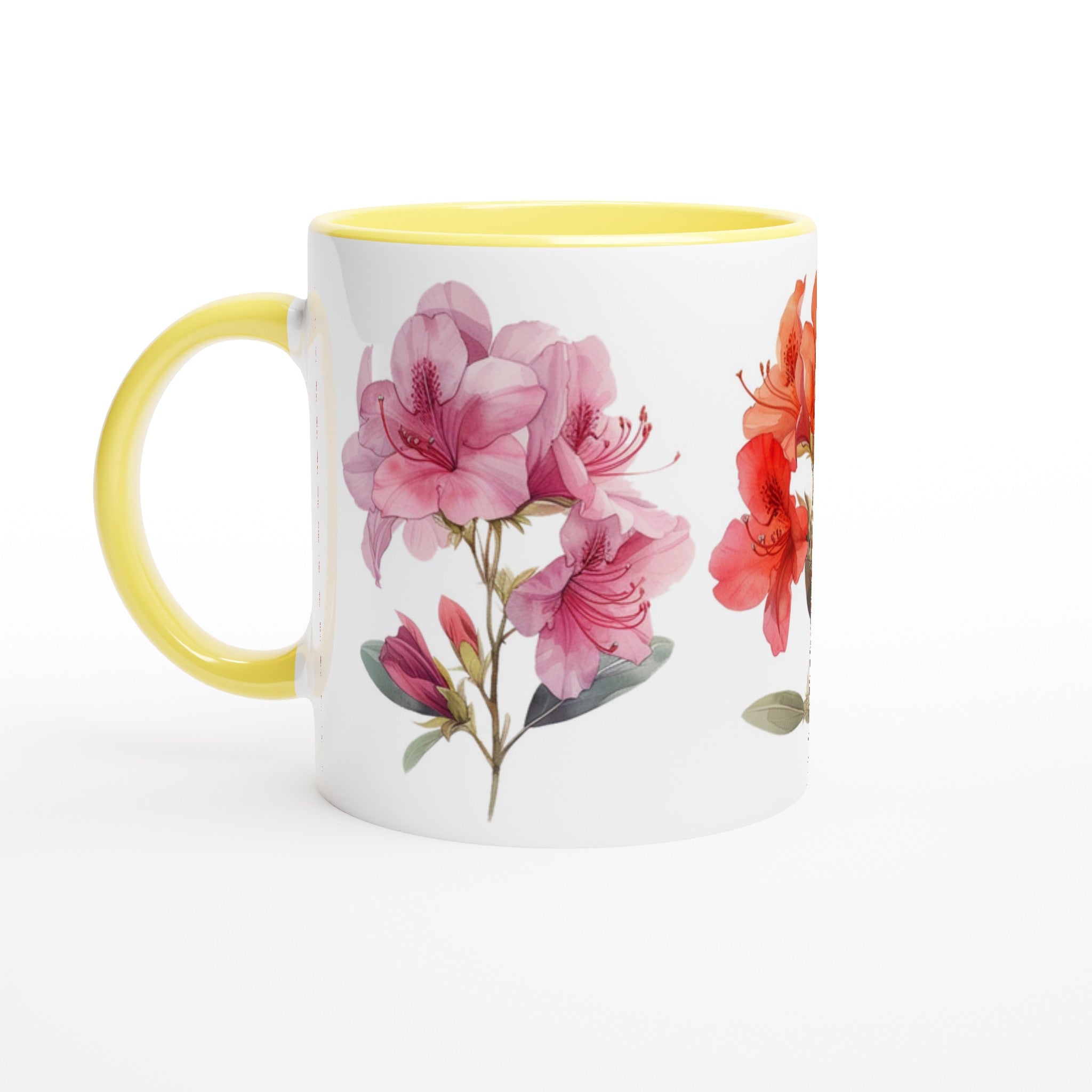 20f5b008-99d5-4d54-9a40-c5210dee3306