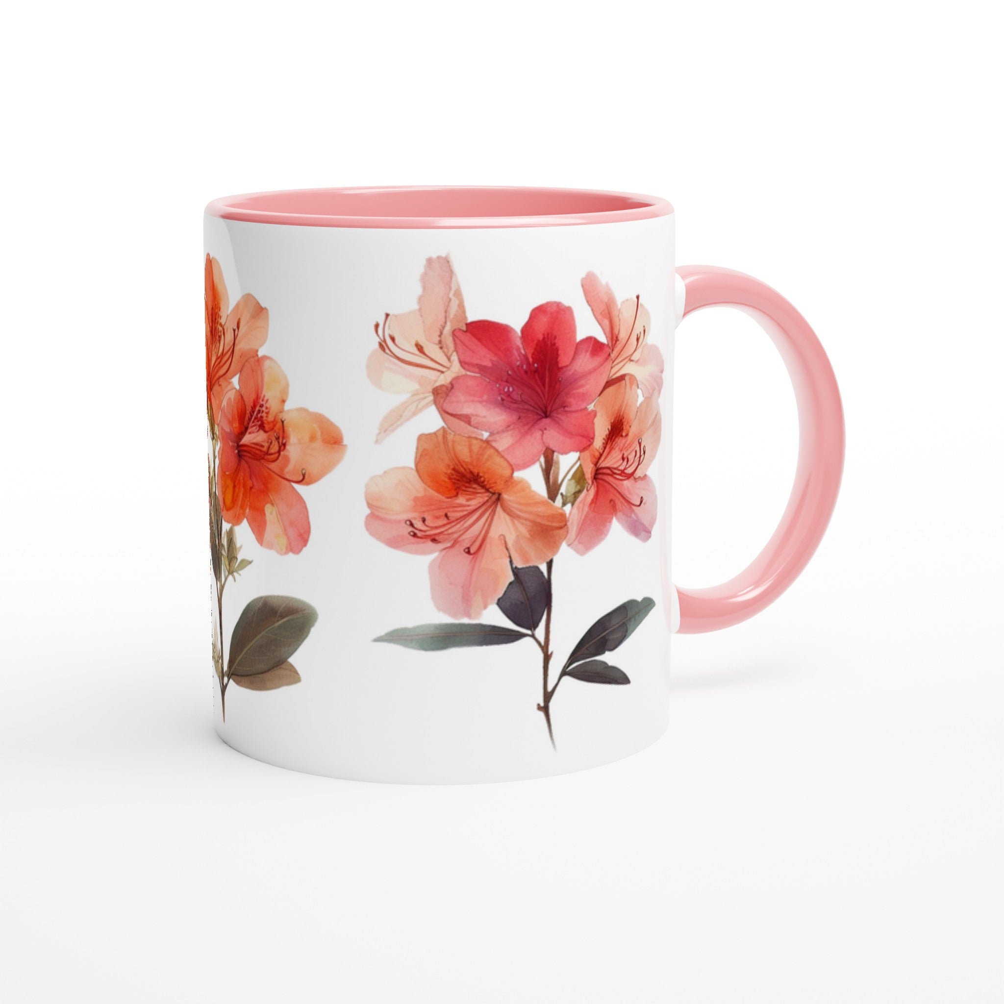 7804c7f6-48f9-491a-b1ed-0d6fdcf5791d